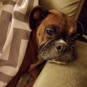 Meet your Posher, Michele